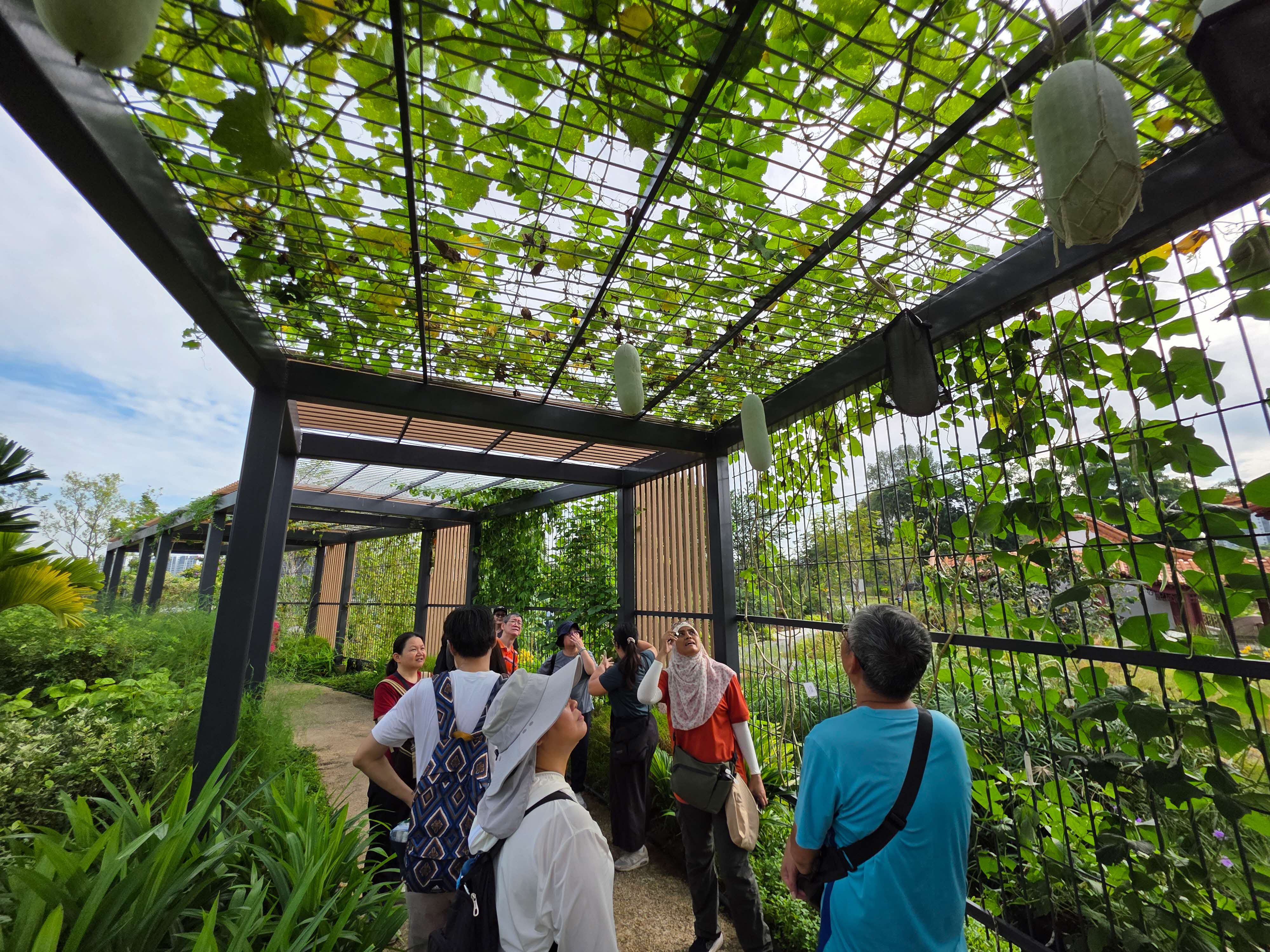 public on a guided tour of the edible gardens